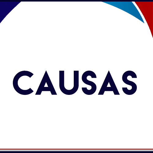 Causas